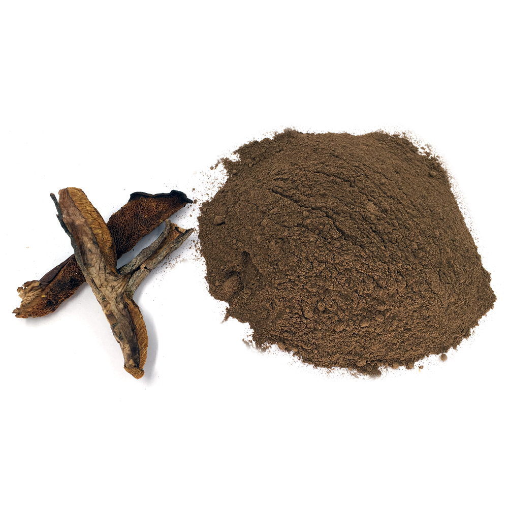 松菇条粉Dried bolete mushroom powder.jpg